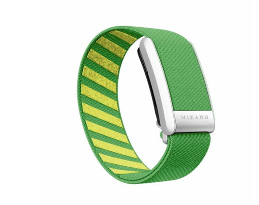 سوار Wizard Magic 4 Band متوافق مع Whoop - أخضر/فضي